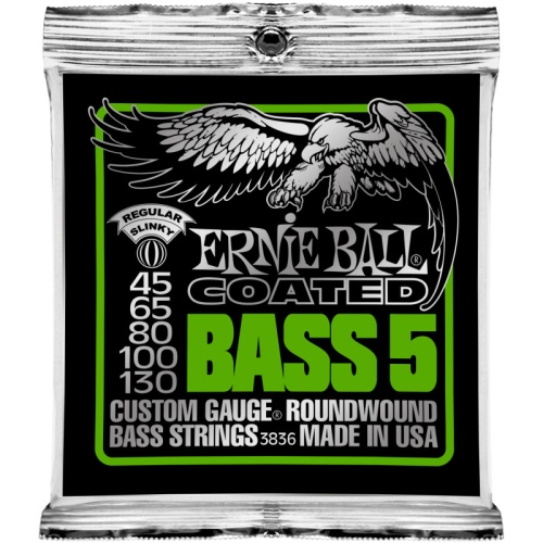 Ernie Ball 3836